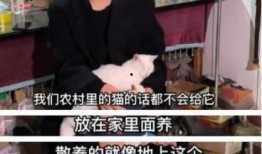 娱乐吃瓜君澄清视频,揭秘真相，还原事件全貌